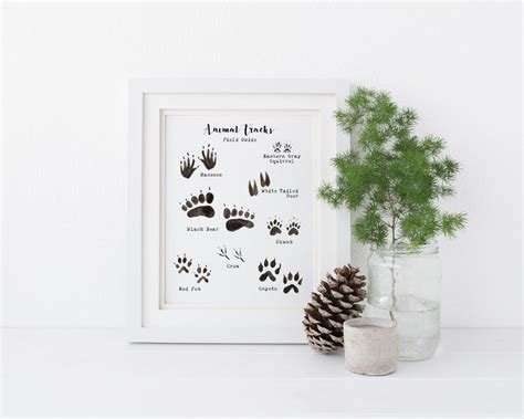 Printable Animal Wall Art Animal Tracks Poster Woodland | Etsy