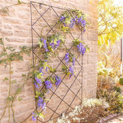 Diamond Lattice Trellis Panels - Harrod Horticultural