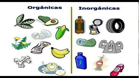 Basura orgánica e inorgánica: ¿Cuáles son? Diferencias y ejemplos