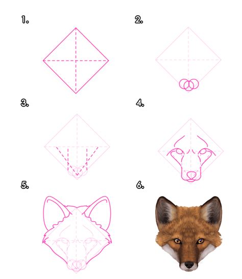 How to Draw Animals: Foxes - Tuts+ Design & Illustration Tutorial | Fox ...