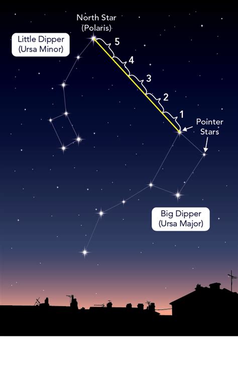 How can I tell which way is north at night? - Let's Talk Science