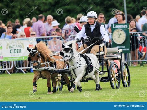 Driving Competition Horse Drawn Carriage Editorial Image - Image of ...