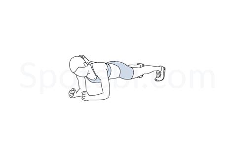 Plank | Illustrated Exercise Guide