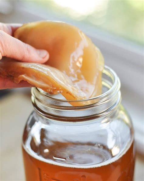 Buy Kombucha Fermented Tea: Benefits, How to Make, Side Effects ...