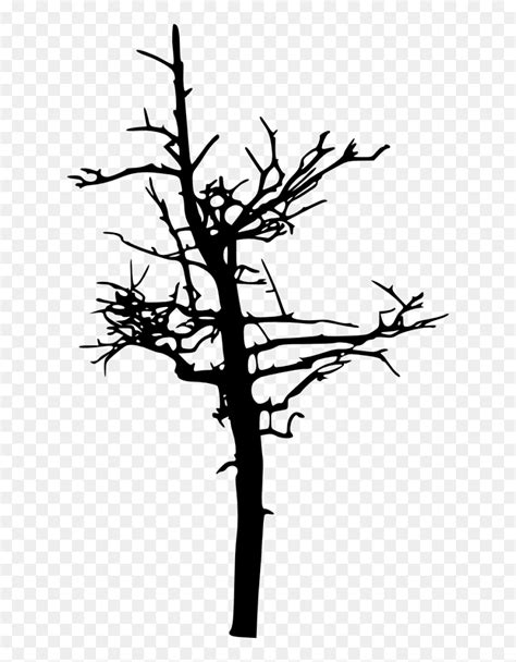 Creepy Tree Silhouette Png, Transparent Png - vhv