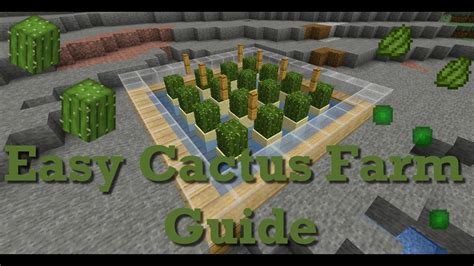 Automatic Cactus Farm 1.8.9 - These could give you a full chest. - pampsdie