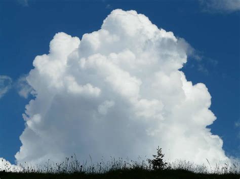 The types of clouds: everything you need to know