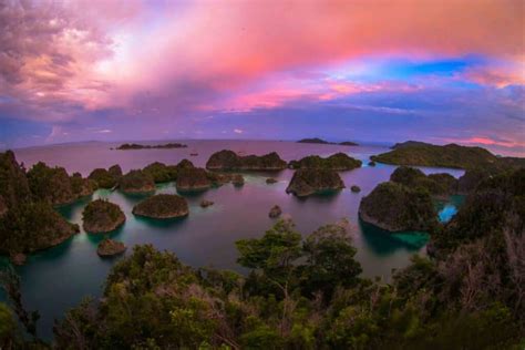 Beautiful Underwater Views of Raja Ampat - Calico Jack