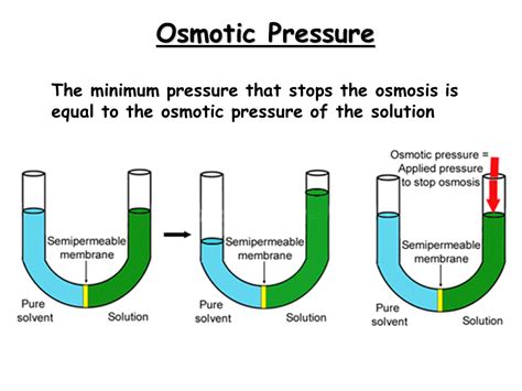 What Is Colloid Osmotic Pressure