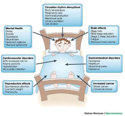 Decoding Circadian Rhythms and Why You Need to Pay Better Attention to ...