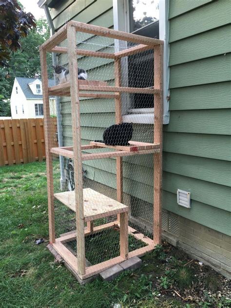 30+ Diy Outside Cat Enclosures – DECOOMO