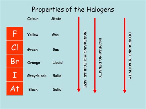 Group 7 Halogens - Presentation Chemistry