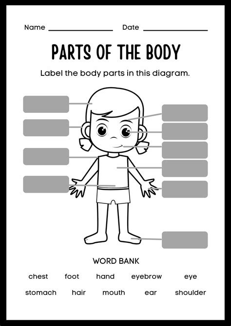 Label Body Parts Worksheet