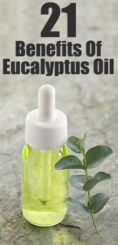 10 Health Benefits Of Eucalyptus Oil And How To Use It | Eucalyptus oil ...