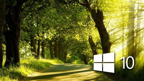 Windows 10 in the sunny forest wallpaper - Computer wallpapers - #48402