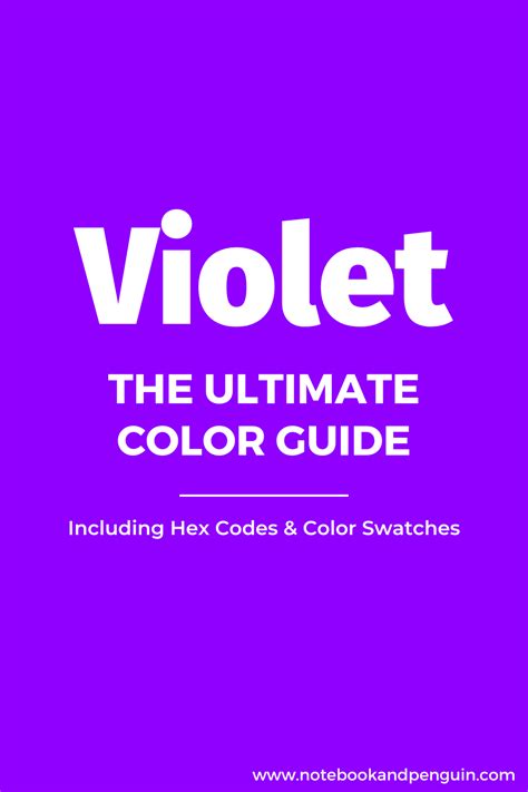 A Complete Guide To The Violet Color (With Hex Codes)