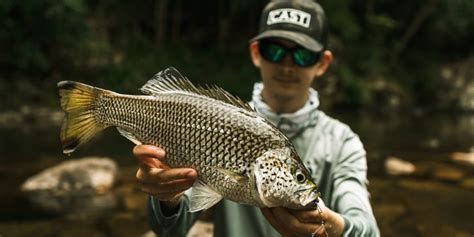 Ingham Jungle Perch | Kyle Wright | Australian Lure Fishing