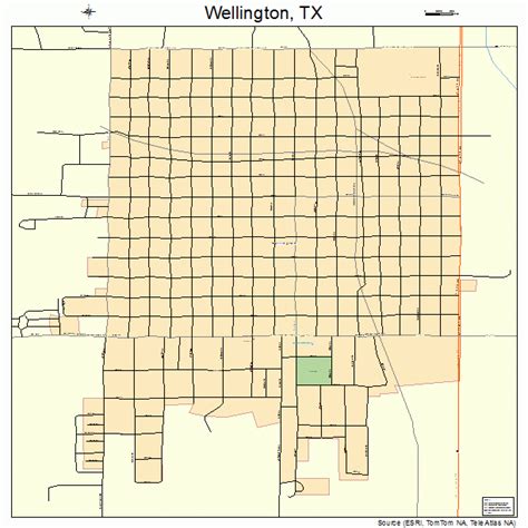 Wellington Texas Street Map 4877152