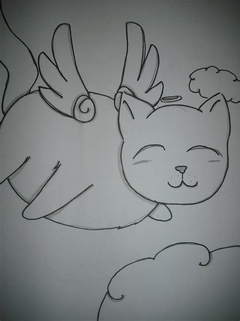 Flying fat cat by SOrAThEChIbINInjA on DeviantArt