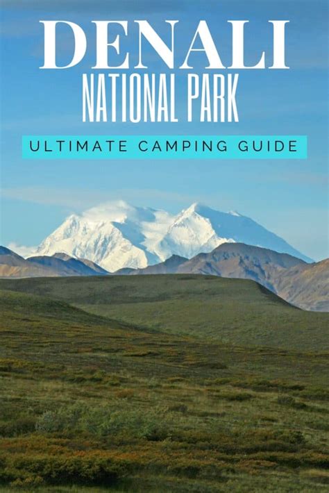 The Ultimate Guide to Camping in Denali National Park - National Park ...