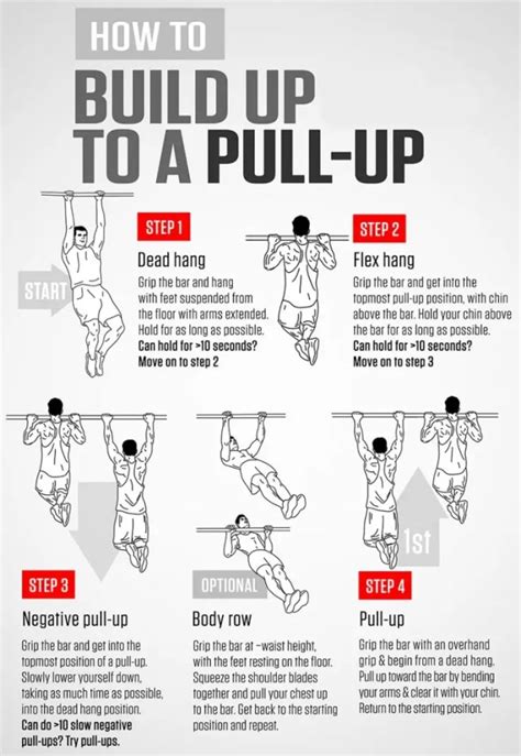 Pull Up Bar Workouts For Beginners | EOUA Blog