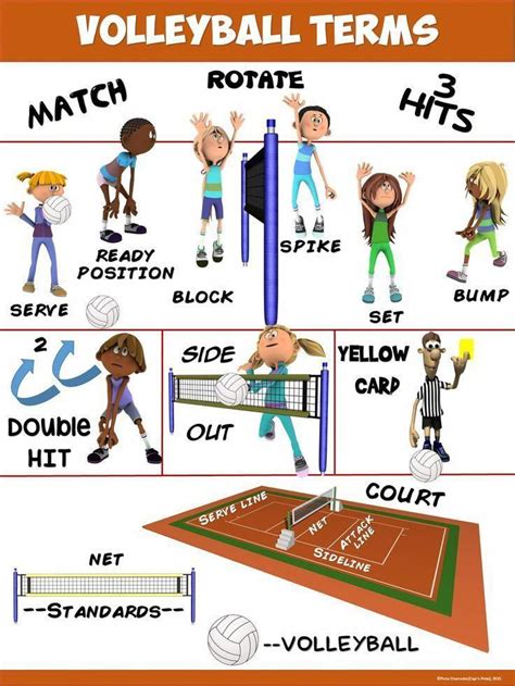 Volleyball Rules For Kids