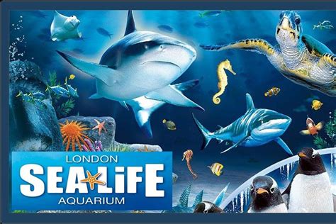 2024 Sea Life London Aquarium - Tripadvisor