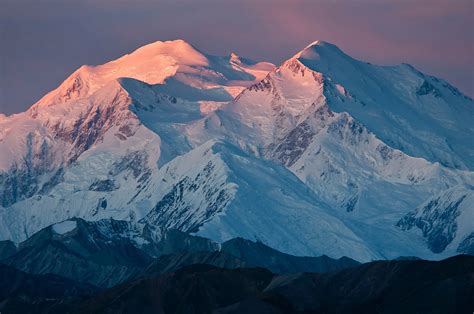 Camping in Denali National Park: BEST Campgrounds in 2025