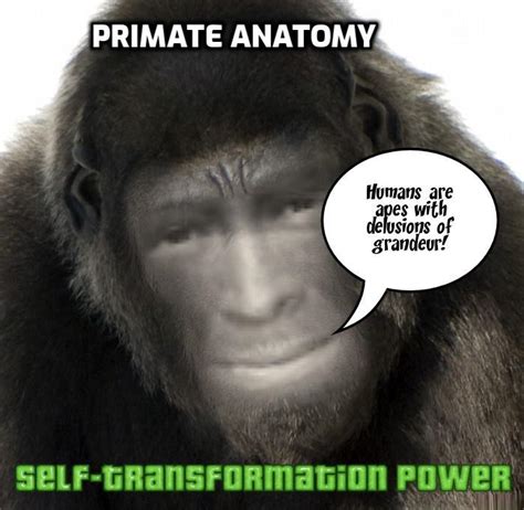 Primate Anatomy | Dr. Hugh Fox III