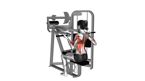 Reverse-Grip Lat Pulldown: Ultimate Guide & Tips (Female)