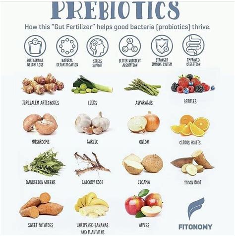 Fiber Diet, High Fiber Foods, Prebiotic Foods, Asparagus And Mushrooms ...