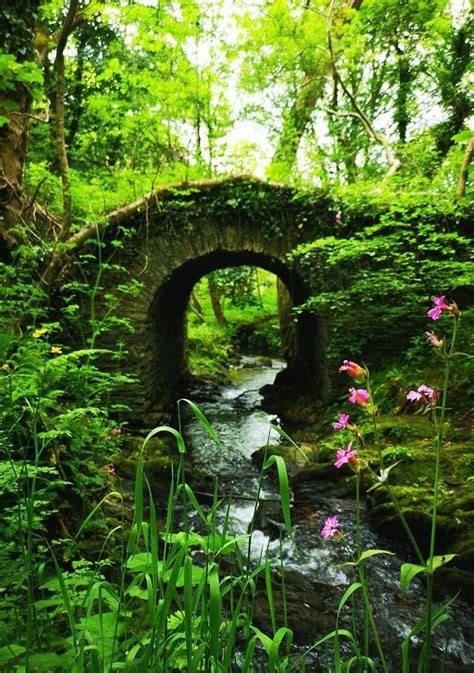 The Real Fairy Bridge | Scenic views nature, Beautiful nature, Scenic views