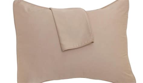 Pillow Sham Vs Pillowcase Bedvoyage Rayon From Bamboo Pillow Shams ...