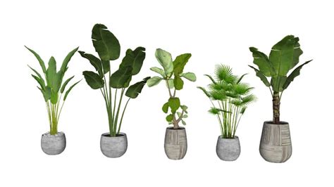 plantas | 3D Warehouse | Plantas, Balcones con plantas, Bloques sketchup