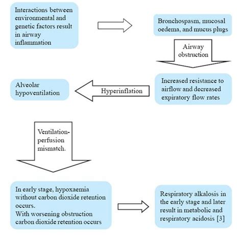 Pathophysiology of Bronchial Asthma | Nurseonlineph | November 2014 NLE ...