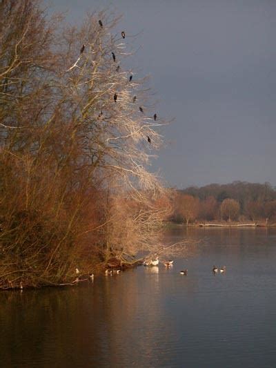 Nene Park, Peterborough - Alchetron, the free social encyclopedia