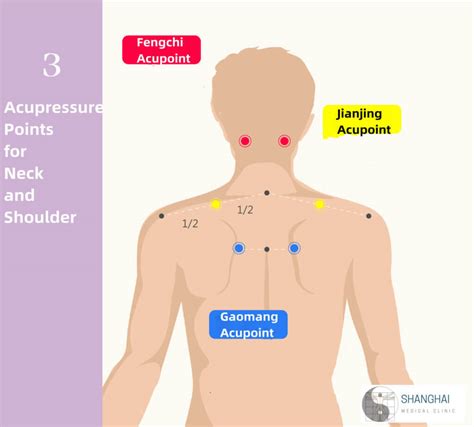 How to Massage the Shoulder and Neck?