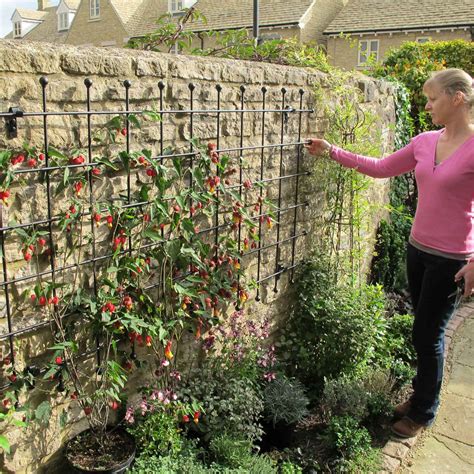 Metal Garden Trellis - Harrod Horticultural