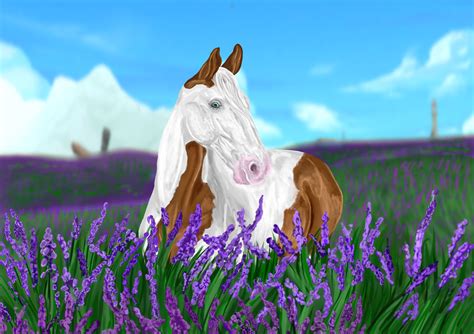 Star Stable Online | Jorvik Warmblood by ediixxon on DeviantArt