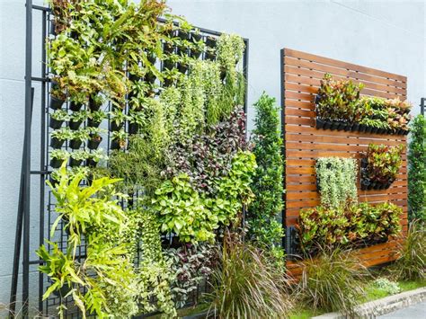 DIY Outdoor Living Plant Wall Ideas