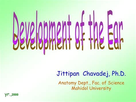 Ear development | PPT