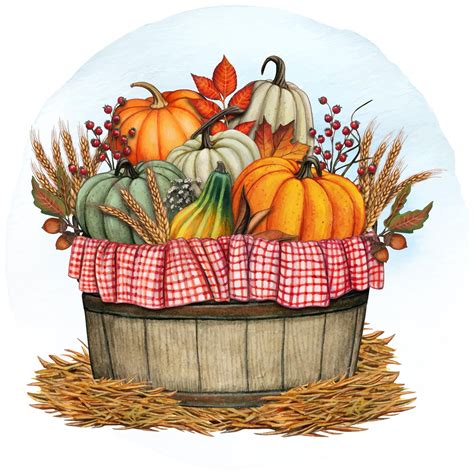 Fall Harvest Png - Pumpkin Clip Art, Transparent Png , Transparent ...