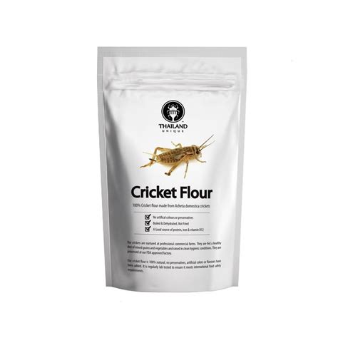 Amazon.com : 100% Cricket Flour (3.5oz) : Grocery & Gourmet Food ...