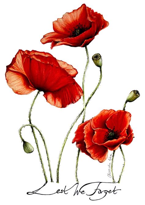 Anzac Day Poppies - Original Artwork A4 - Alexandra Nea