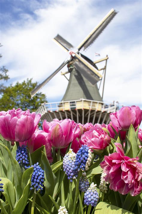 Visiting Keukenhof, the world's largest tulip garden | Blushrougette