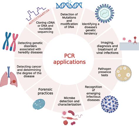 Examples of PCR applications (Created with Biorender.com) | Download ...