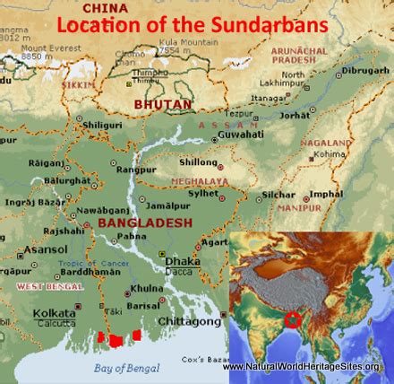 Sundarbans National Park | Natural World Heritage Sites