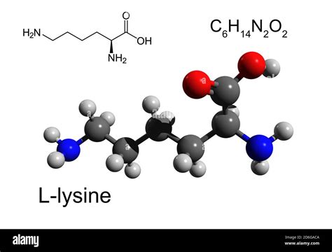 Amino Acid Structure 3d