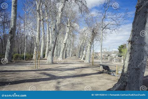 Gardens of the City of Aranjuez, Located in Spain. Stone Palace Stock ...