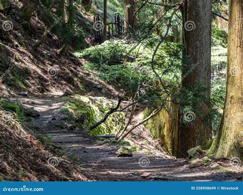 Mountainside Hiking Trail Near Oyama Afuri Shrine, Isehara, Japan Stock ...